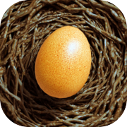 Egg Journey