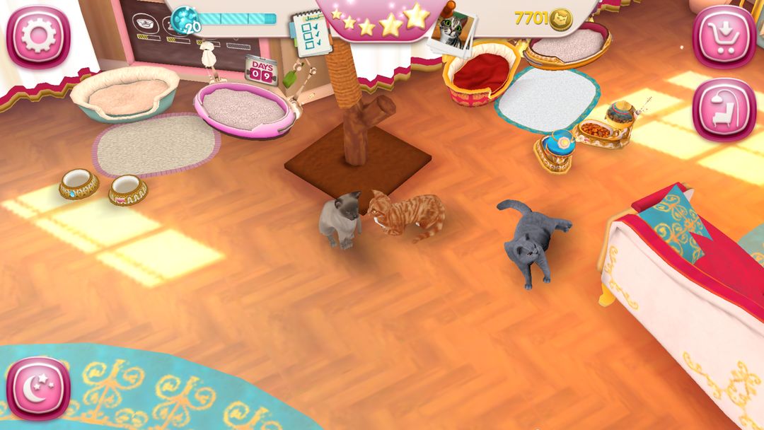 CatHotel - play with cute cats ภาพหน้าจอเกม