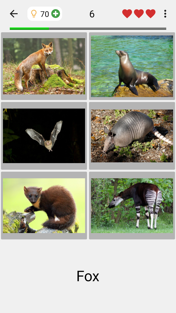 Screenshot of Animals Quiz Learn All Mammals