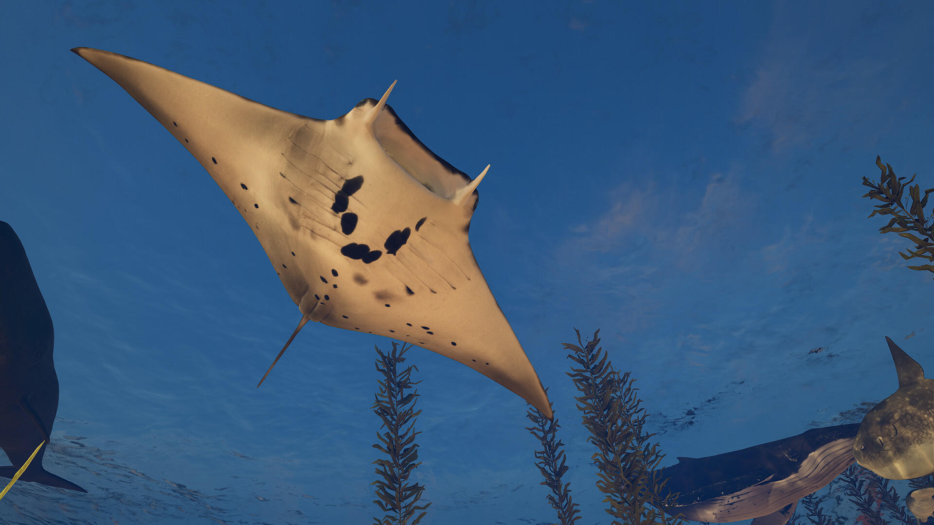 Eden Island Game Screenshot