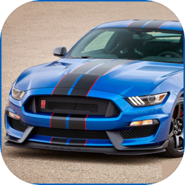 Mustang GT 350R City Car Drive