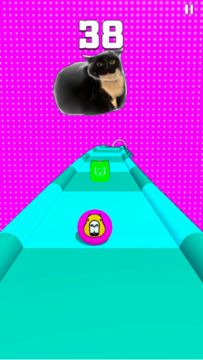 MAXWELL CAPYBARA SHIBA INU Game Screenshot