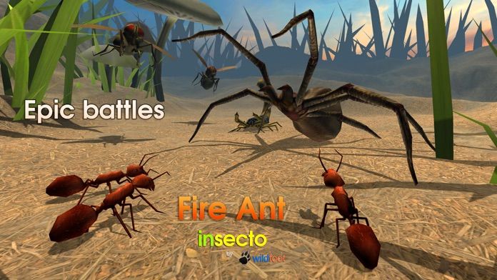 Fire Ant Simulator 게임 스크린 샷