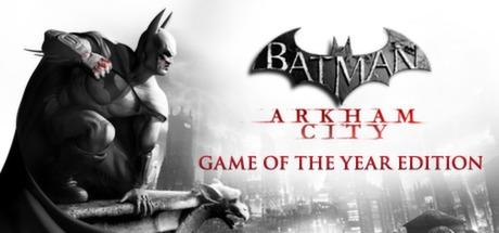 Banner of Batman: Arkham City — издание «Игра года» 