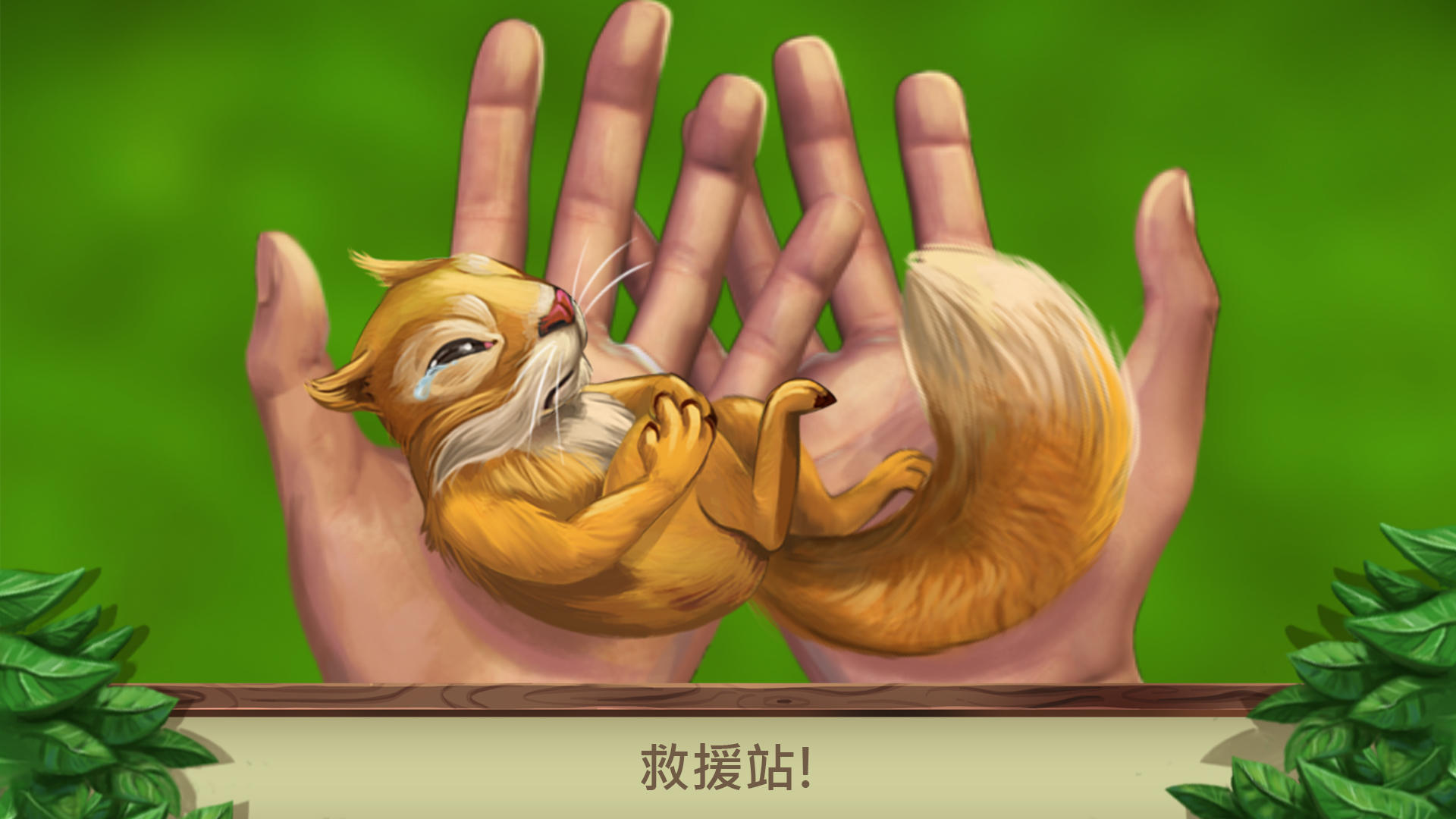 Screenshot 1 of Pet World - 野生動物美國 3.09