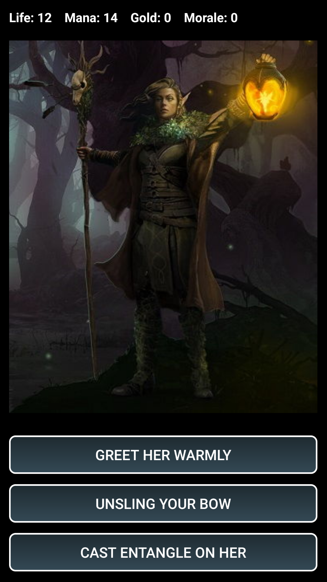 Dungeons and Decisions RPG Game Screenshot