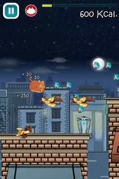 Chunky Cat Game Screenshot