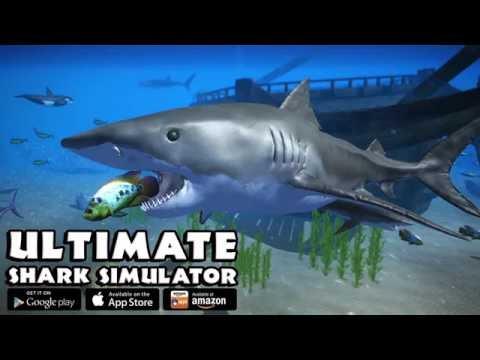 Screenshot of the video of Ultimate Shark Simulator