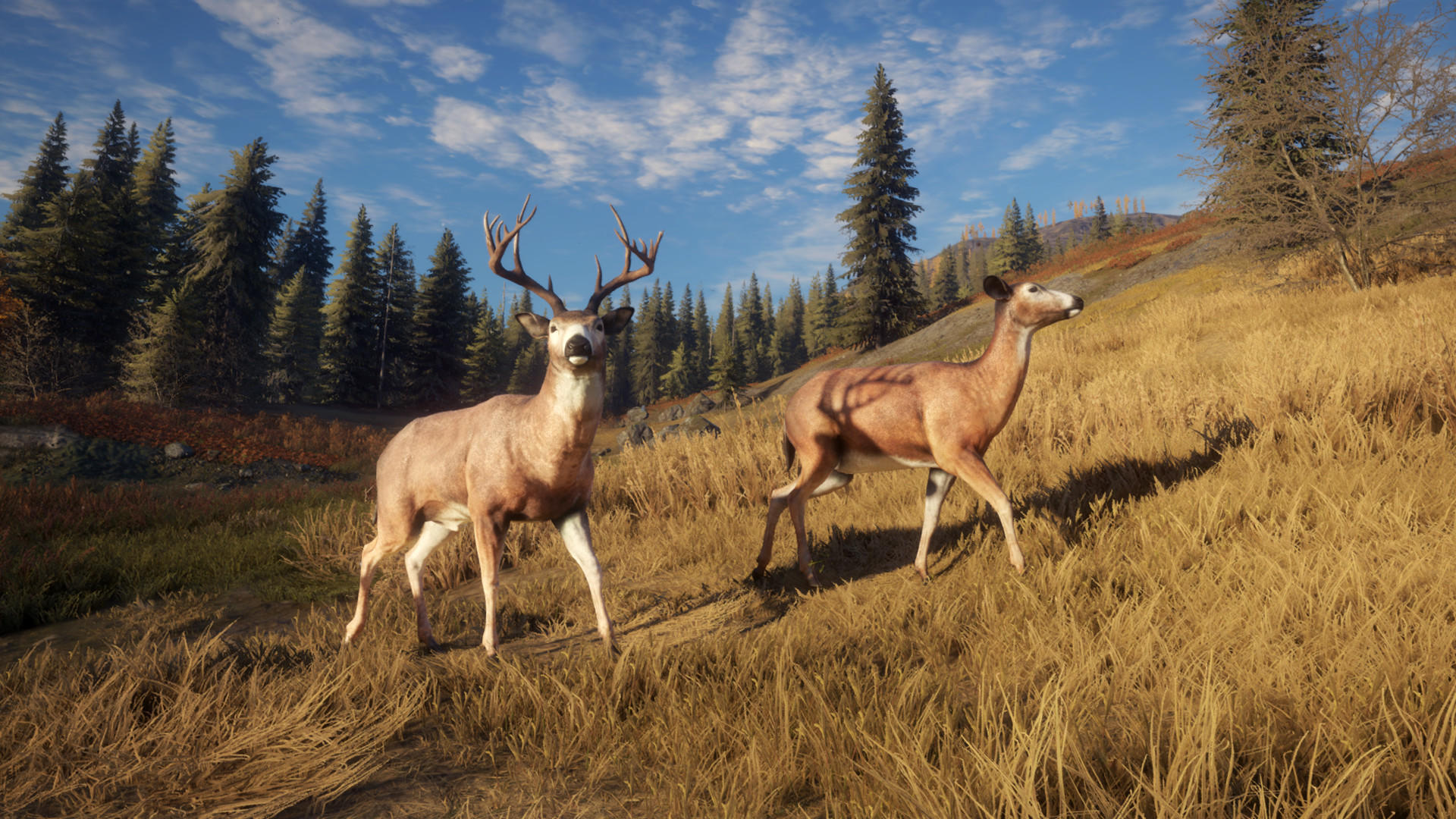 The Hunter: Call of the Wild™ Game Screenshot
