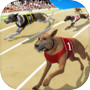Dog Crazy Race Simulator