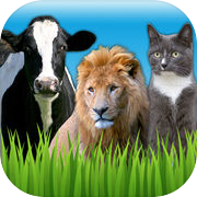 တိရိစ္ဆာန်အသံများ - တိရစ္ဆာန်ရုံ၊ အိမ်မွေးတိရစ္ဆာန်နှင့် မွေးမြူရေးအသံ