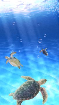 Aquarium Sea Turtle simulation Game Screenshot