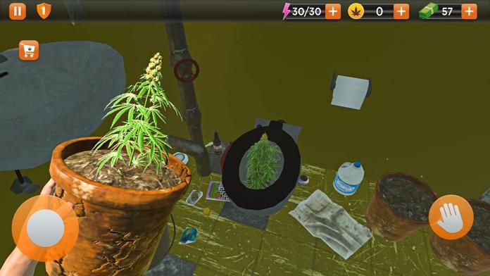 Screenshot of Weed Growing Shop Drug Game