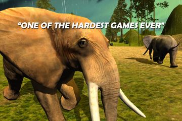 Safari Run - Fun Race Game Screenshot