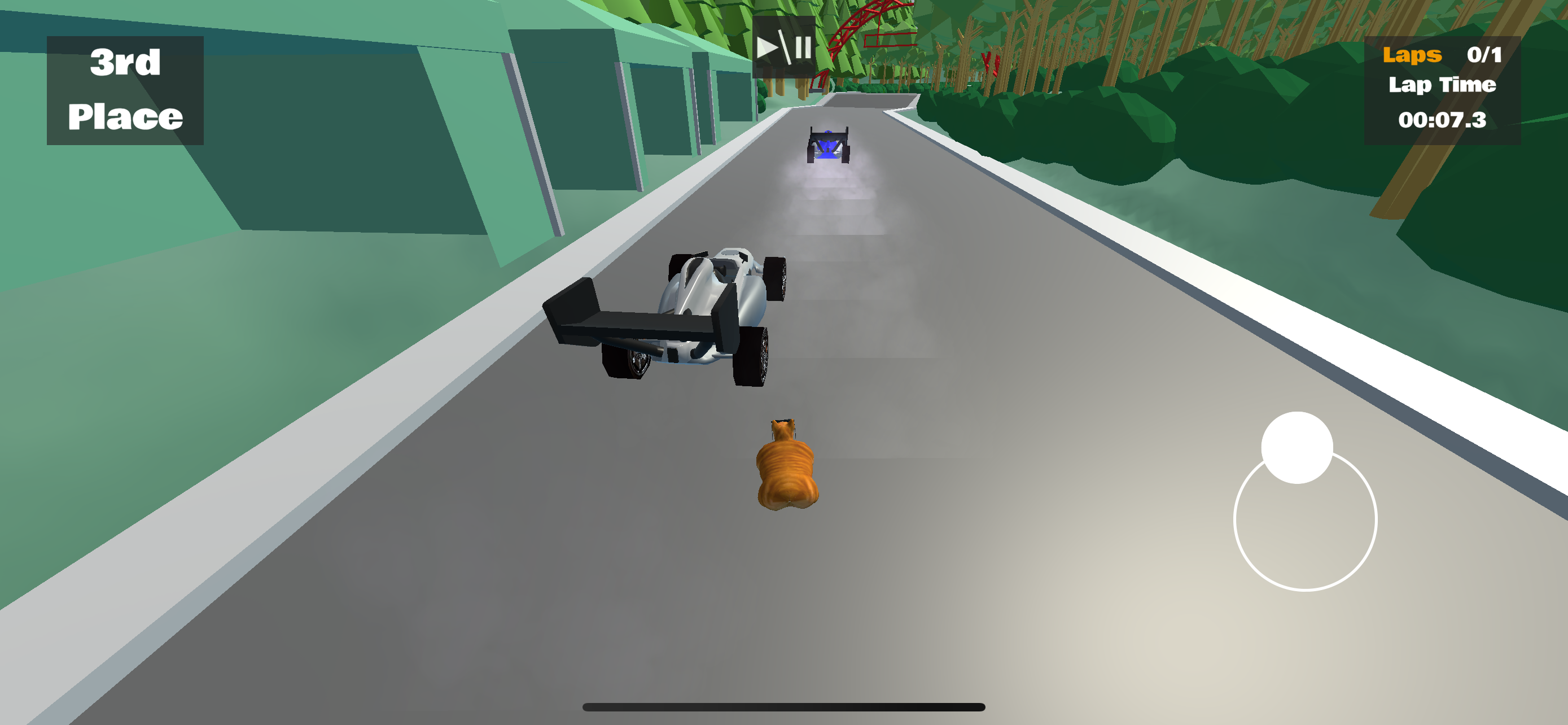 Ultimate Cat Race Game Screenshot