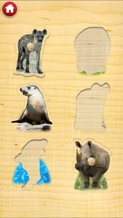 Zoo Sounds - Fun Educational Games for Kids Game Screenshot