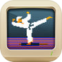 Karateka Classic