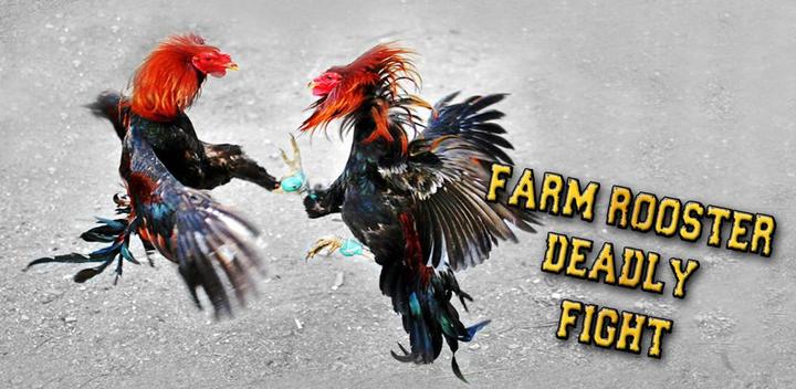 Banner of Farm Rooster Simulator 1.0