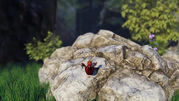 Screenshot of the video of Unlucky Chicken