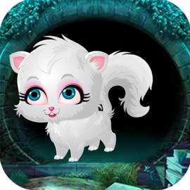 Cute White Cat Rescue Game 2018 - Best Escape 426 for Android/iOS