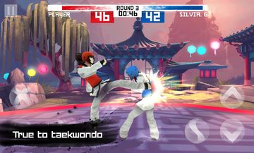 Taekwondo Game ゲームのスクリーンショット