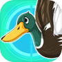 Icon of The Hunter!