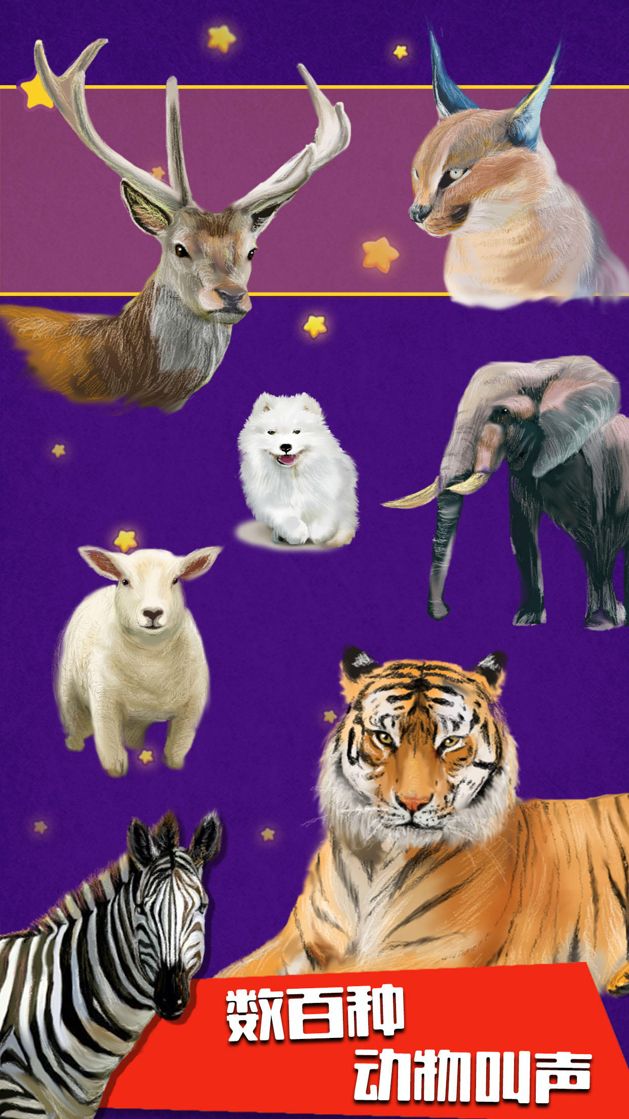 小星星-动物的叫声 ภาพหน้าจอเกม