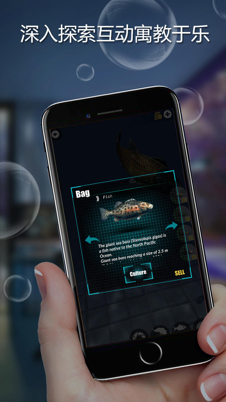 ARFisher screenshot game