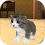  ไอคอนของ Kitten Cat Simulator 3D Craft