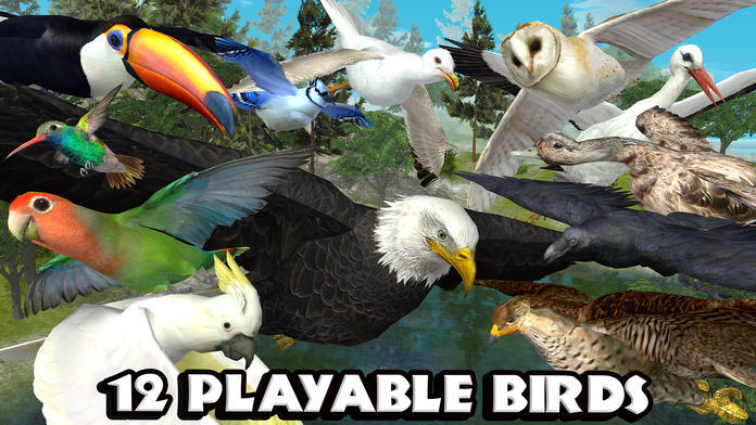 Screenshot of Ultimate Bird Simulator