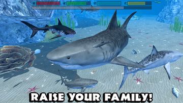 Ultimate Shark Simulator Game Screenshot