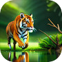 Icon of Tiger Games - Tiger Simulator