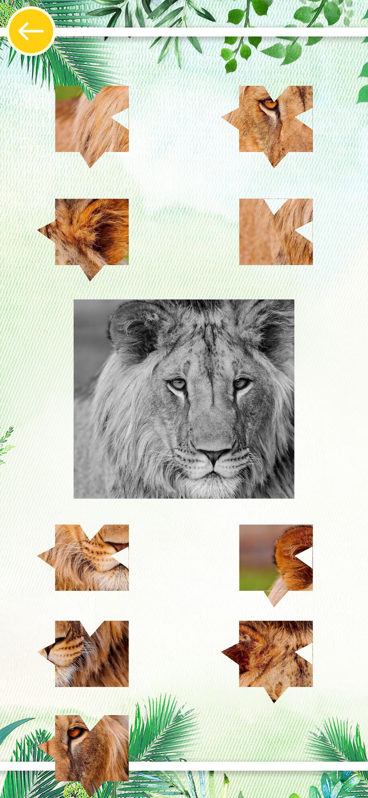 天天开心拼图（测试版） ゲームのスクリーンショット