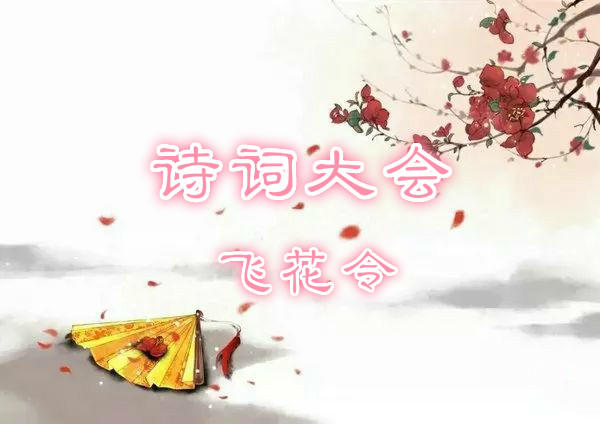 Captura de Tela do Vídeo de 诗词大会飞花令