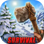 Icon of Island Survival