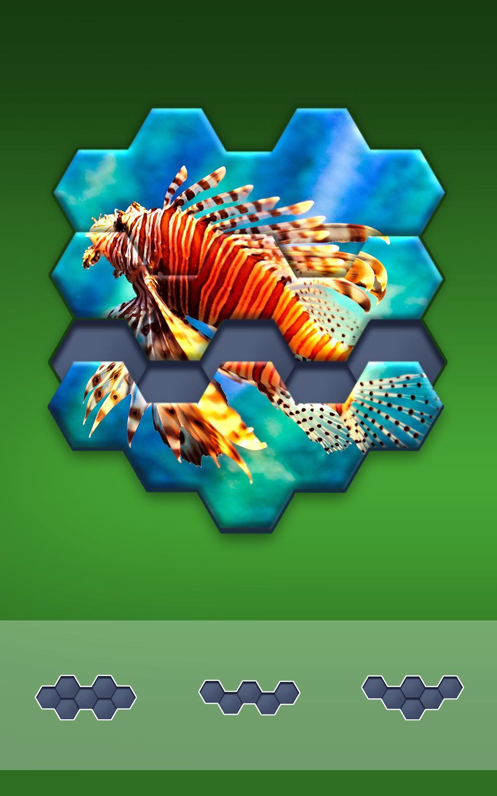 Hexa Jigsaw Puzzle ® Game Screenshot