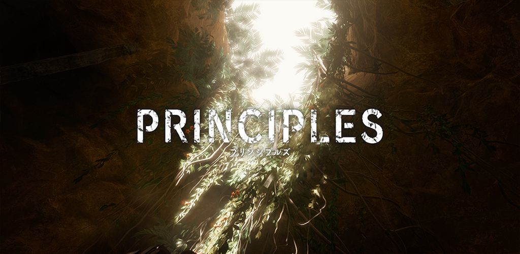 Banner of PRINCIPLES 