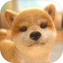 Icon dari with My DOG