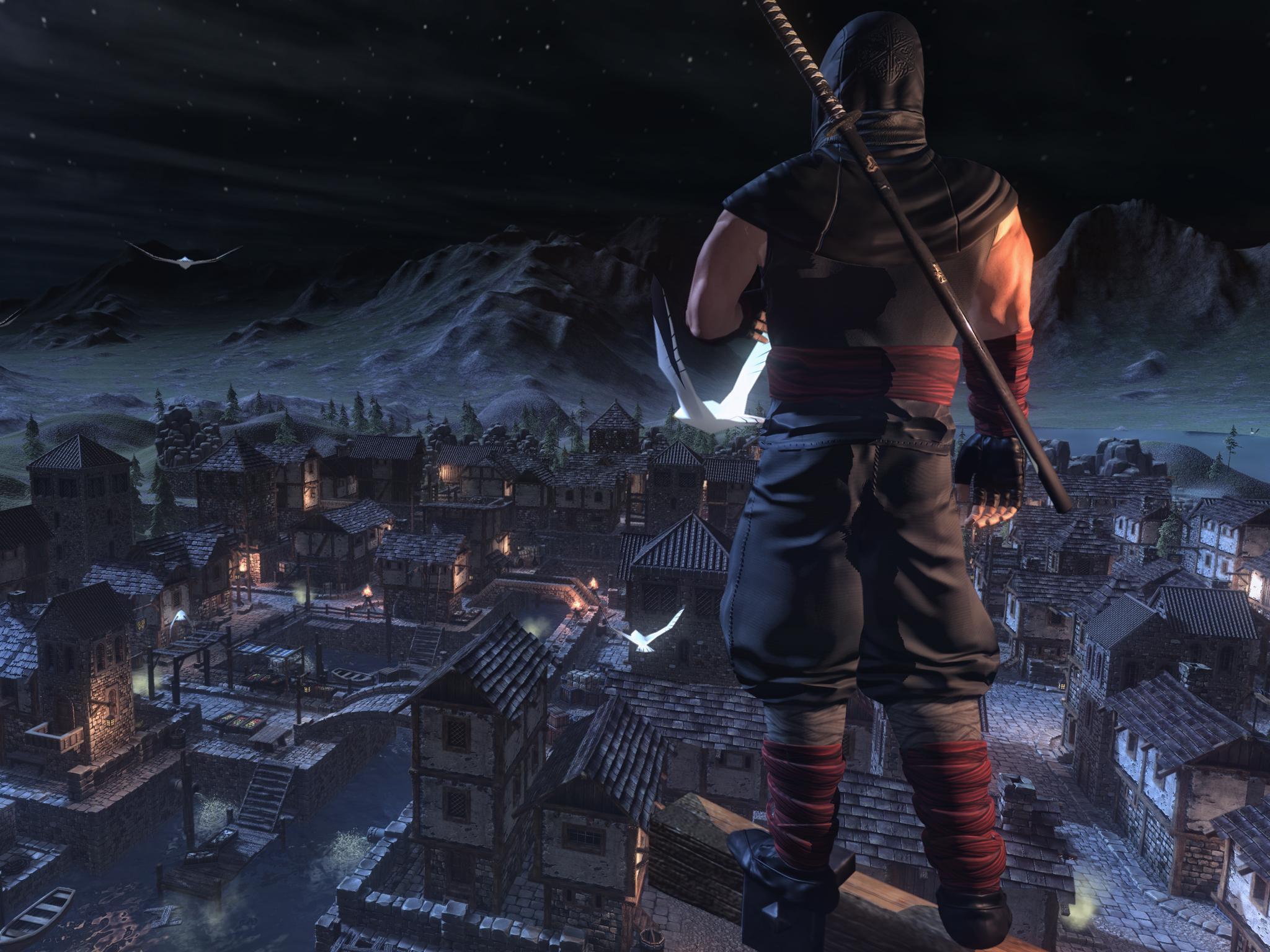 Ninja War Hero Game Screenshot