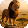 Icon of Jungle Lion Family Simulator