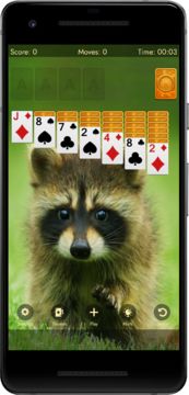 Solitaire Frenzy 遊戲截圖