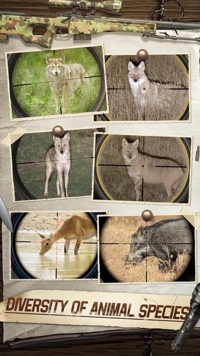 Screenshot of Hunting Sniper