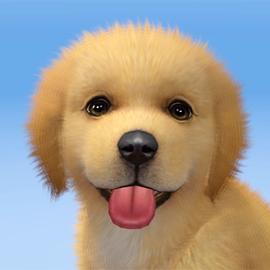 Android Dog My Dog - Pet Dog Game Simulator for Android/iOS - TapTap