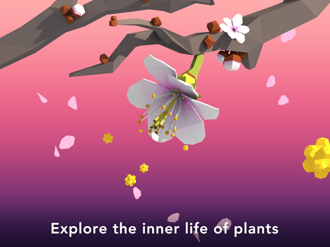 Screenshot of NAMOO - Wonders of Plant Life