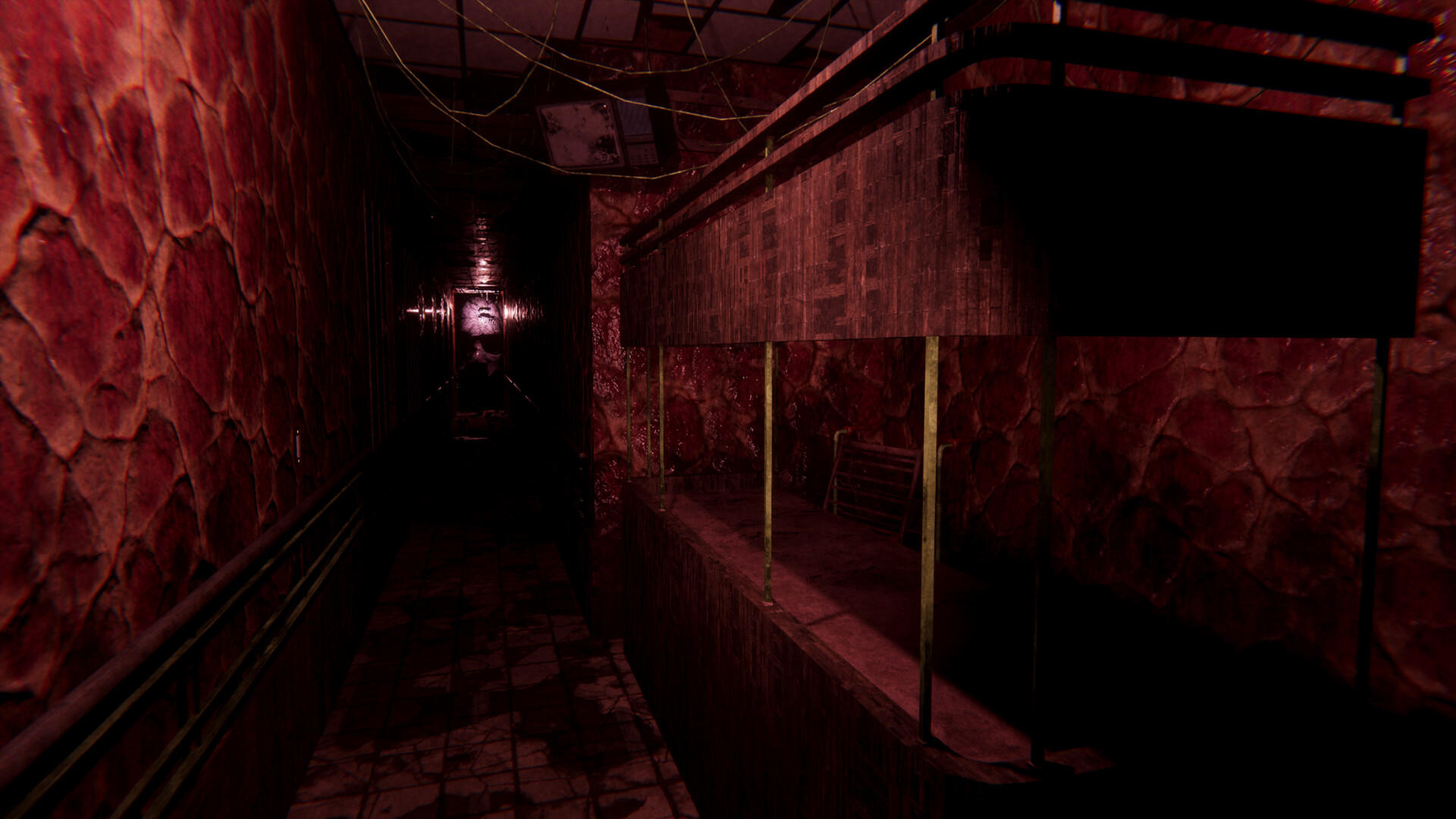Screenshot of Sorrow Asylum 2