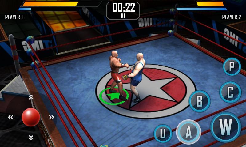 Real Wrestling 3D Game Screenshot