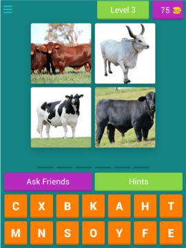 Images Race Game Screenshot