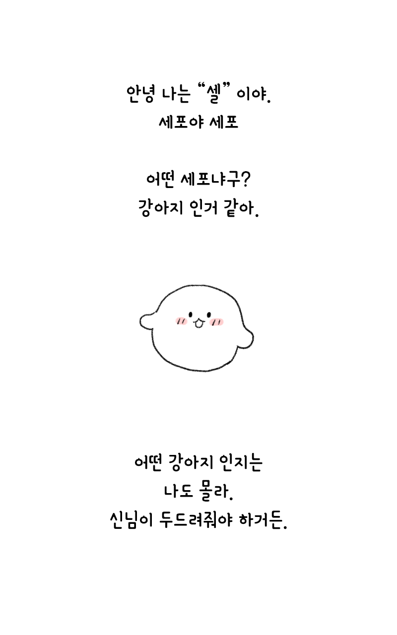 두드려요 신님 - 강아지 편 Game Screenshot