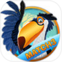 Fruit Rio Splash: Match 3