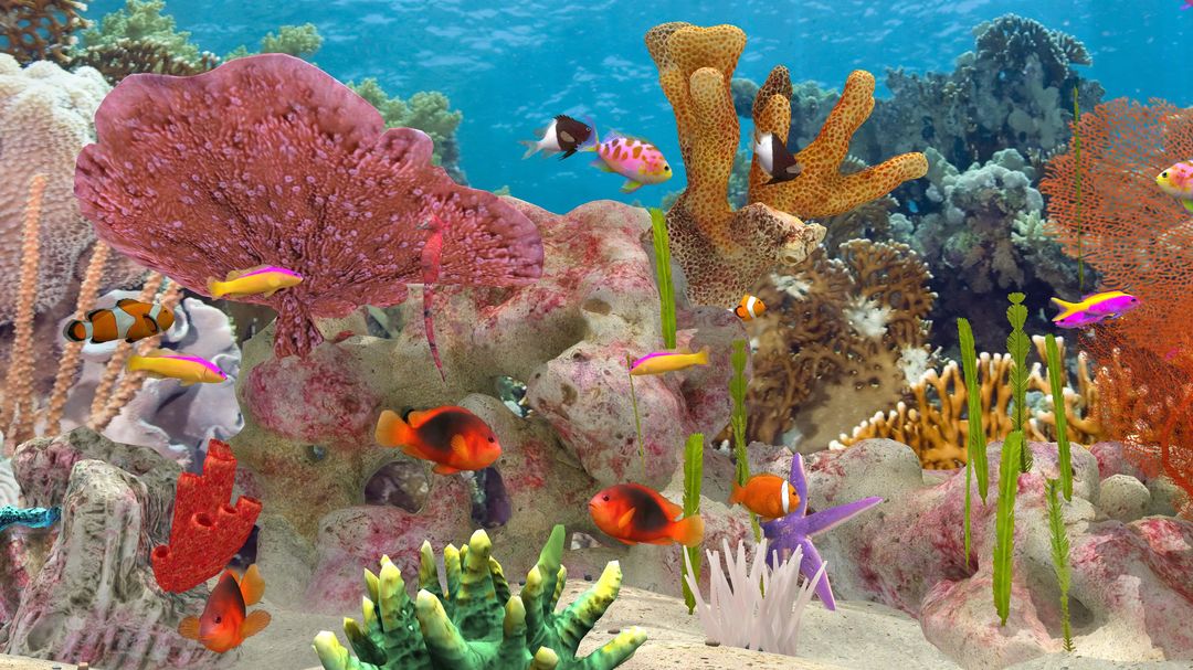 Fish Farm 3 - Real Life 3D Aquarium遊戲截圖